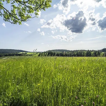 Waldfrieder * Fohrenbuhl