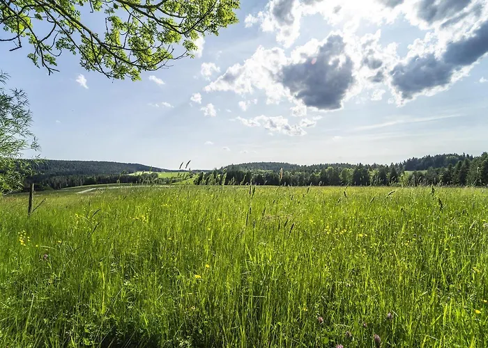 Waldfrieder * Fohrenbuhl